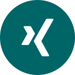 Xing SVG Icon